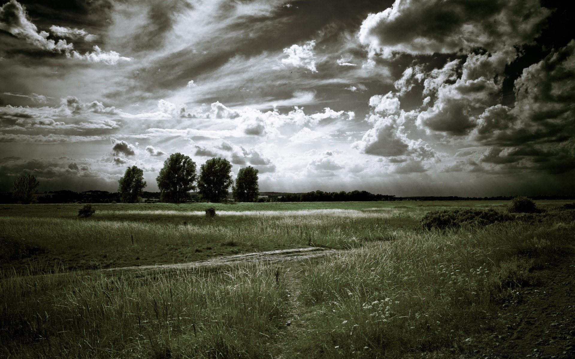 paysage tempête paysage nature ciel météo pluie à l extérieur coucher de soleil lumière arbre sombre