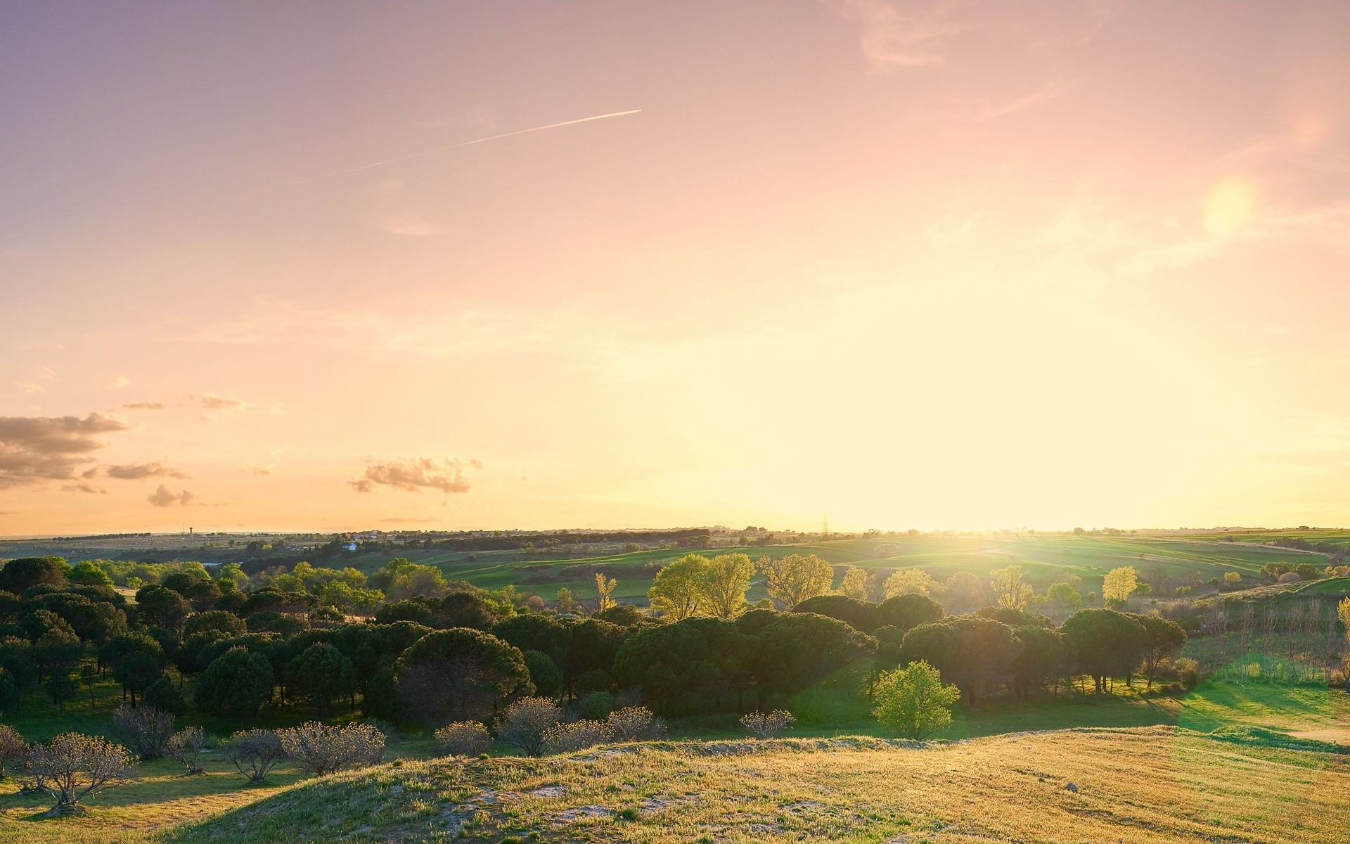 landscapes landscape cropland sunset agriculture sky field nature tree travel outdoors dawn countryside hill farm rural scenic evening grass light