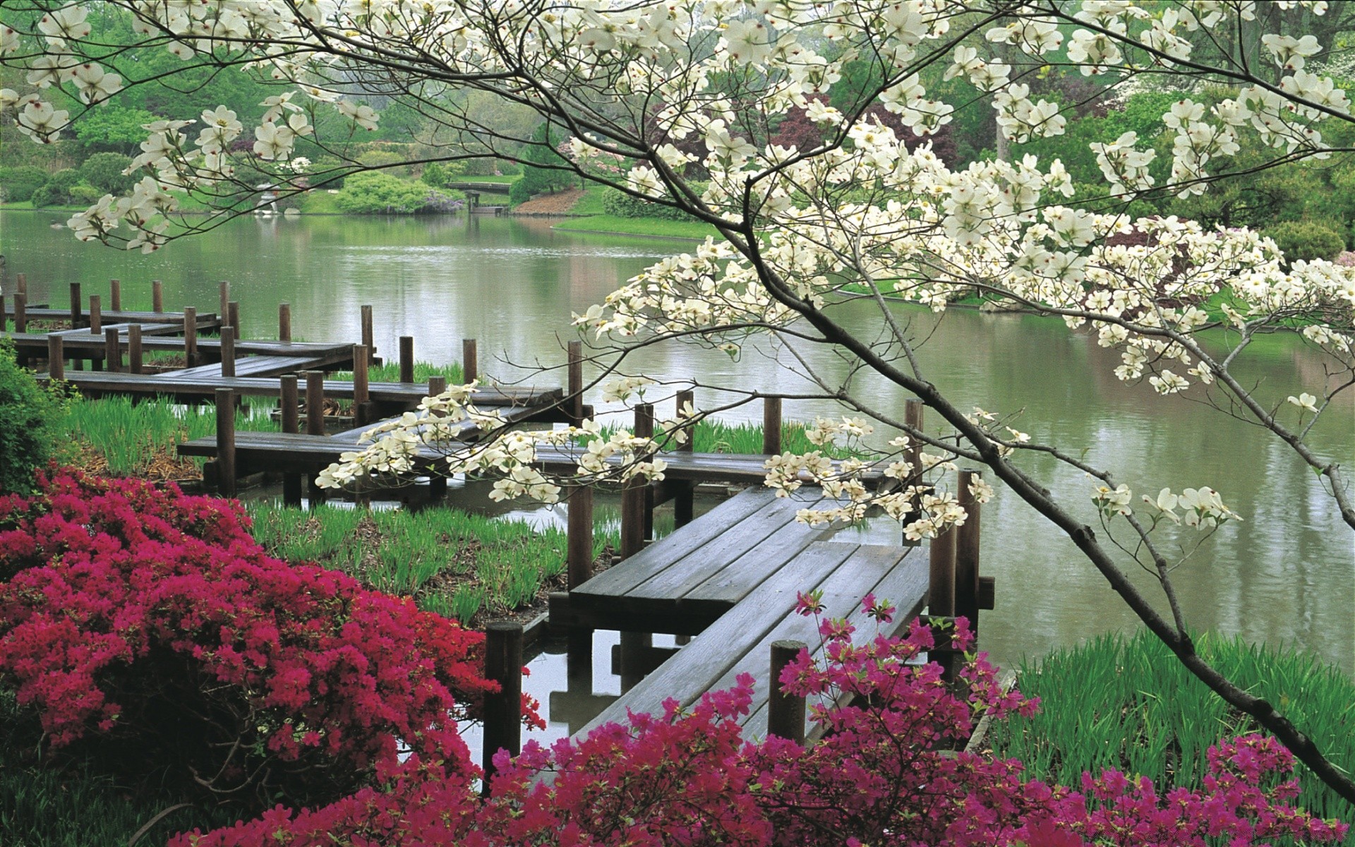 landschaft blume garten baum park natur landschaft flora saison blühen im freien hof botanisch sommer strauch farbe blatt rhododendron rasen haus