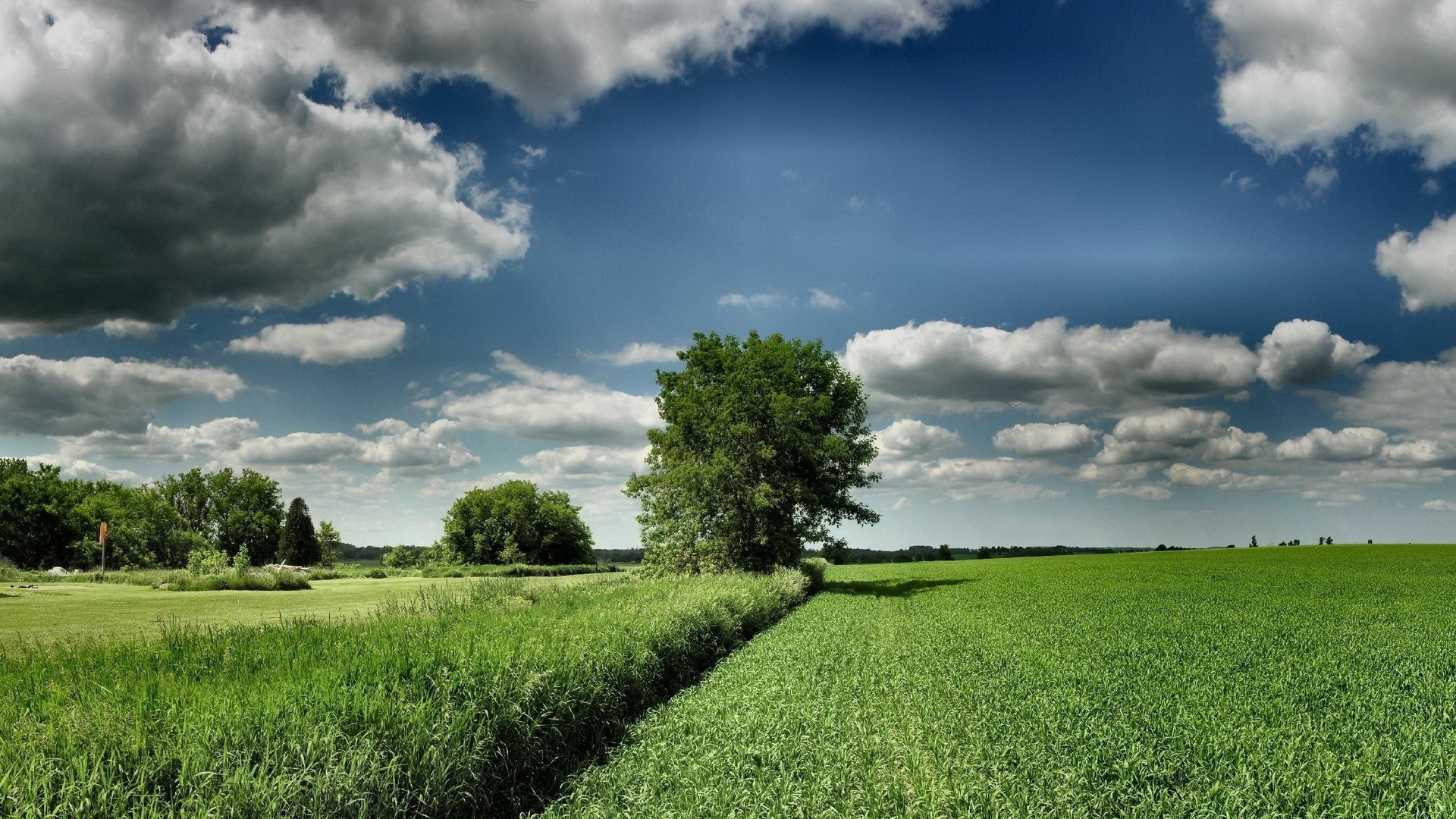 landschaft landschaft landschaft natur feld gras landschaft himmel landwirtschaft sommer im freien bauernhof weide heuhaufen wolke baum idylle gutes wetter horizont sonne