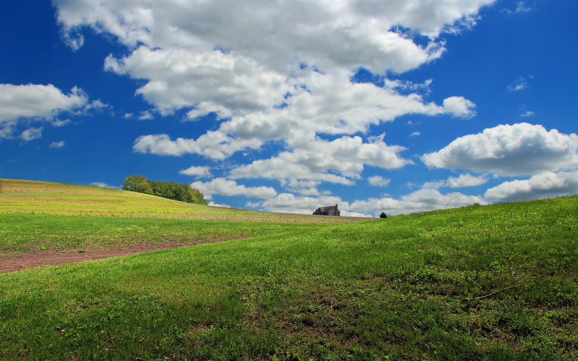 paysage paysage herbe agriculture rural champ ciel campagne nature pâturage ferme foin à l extérieur été terres cultivées sol colline pâturage arbre horizon