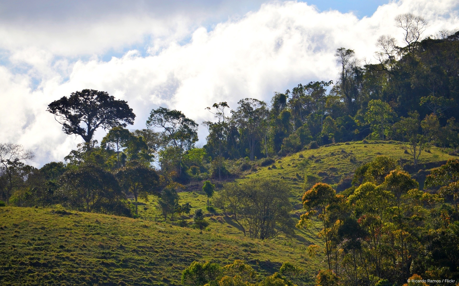 paysage nature paysage bois bois voyage à l extérieur montagnes ciel colline feuille brouillard scénique herbe forêt tropicale environnement flore brouillard été nuage