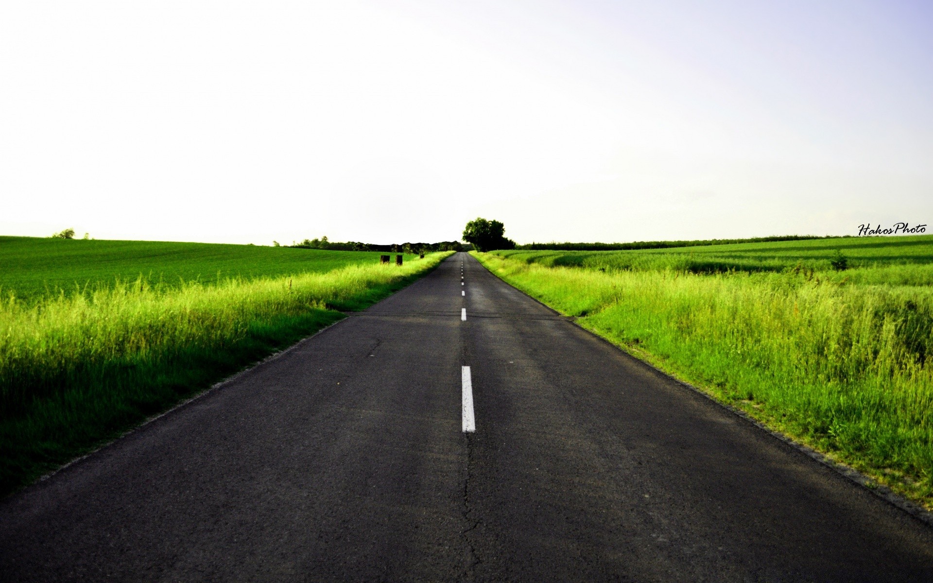 landschaft straße landschaft feld ländliche landwirtschaft führung landschaft gras bauernhof land himmel asphalt perspektive autobahn heuhaufen natur horizont bebautes land