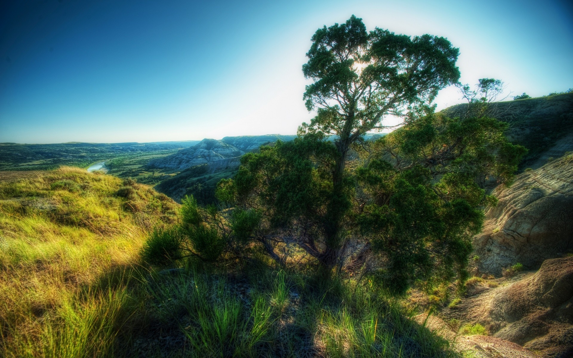 landscapes landscape nature tree sky mountain travel hill grass outdoors scenic wood summer rock cloud flora sight beautiful sunset