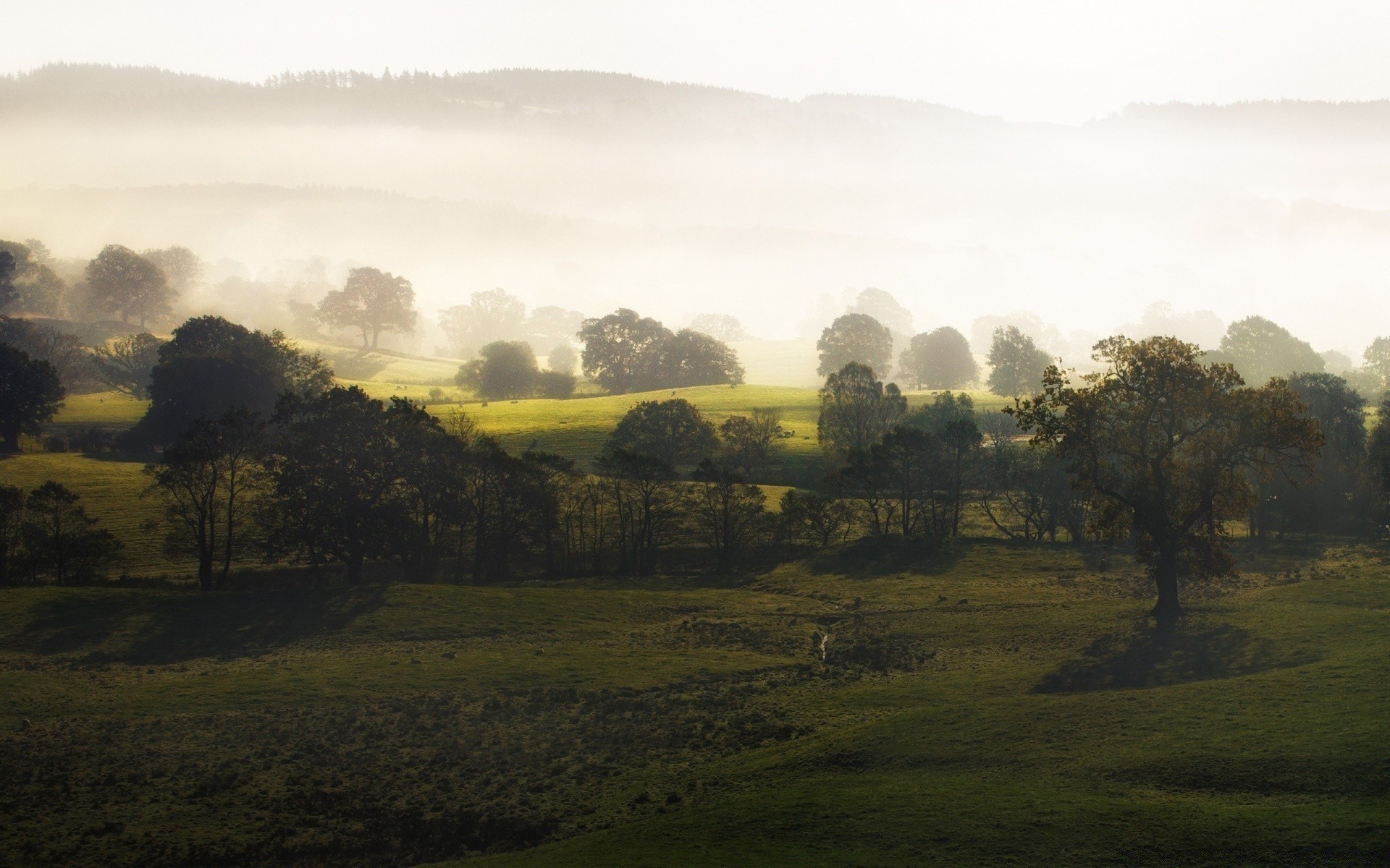 landscapes landscape tree fog hill dawn nature field mist sunset sky agriculture fall farm mountain scenic hayfield grass grassland outdoors