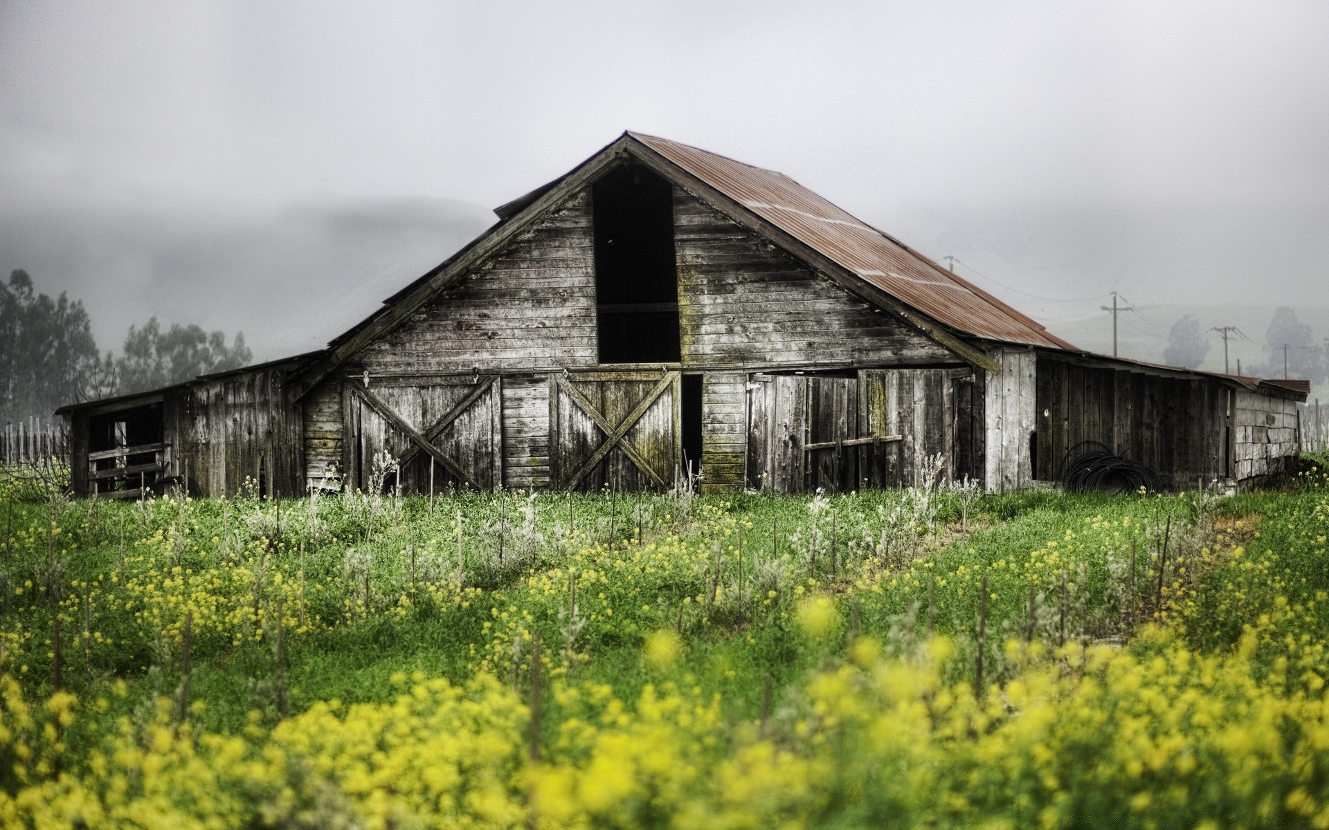 paysage grange maison ferme agriculture maison champ pays maison rural paysage vieux bois