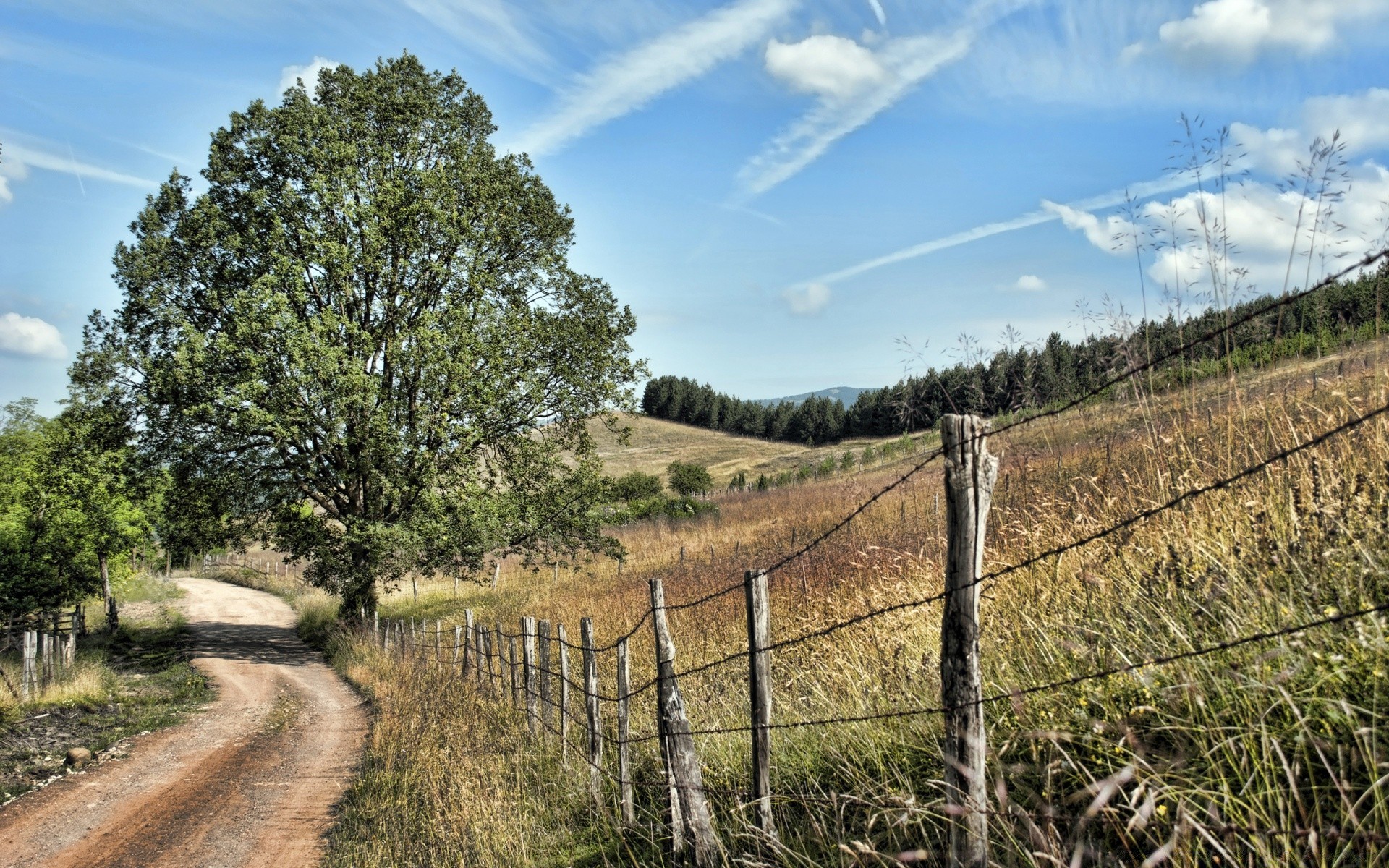 landschaft landschaft natur baum himmel gras zaun feld holz landwirtschaft des ländlichen im freien heuhaufen landschaft bauernhof sommer land straße flora umwelt