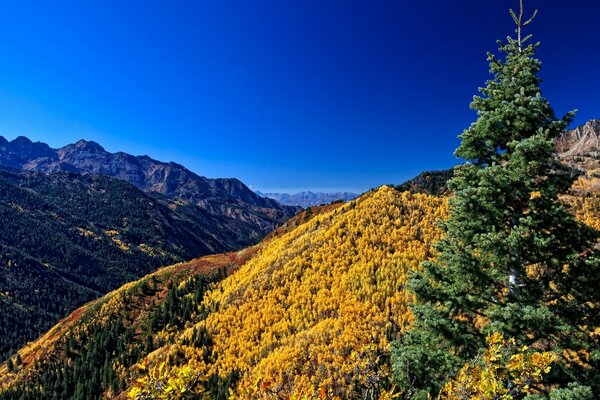 Berggipfel bei strahlendem Sonnenschein und blauem Himmel