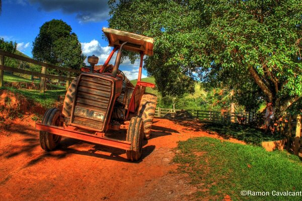 Tractor en el árbol al aire libre