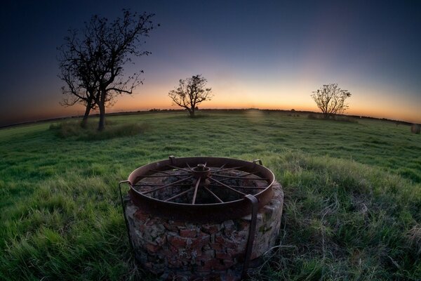 Puesta de sol en la naturaleza. Hierba y árboles