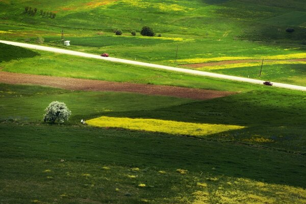 The road through the green field