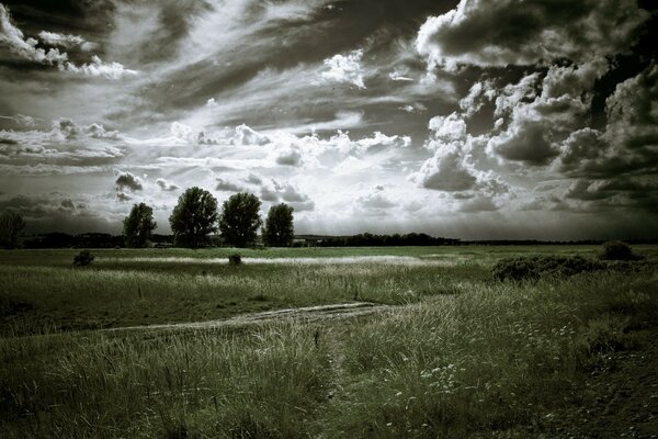 Grey disturbing landscape before the storm