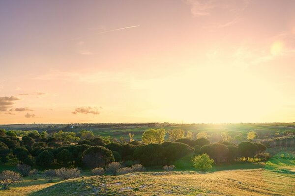 Paisaje. Hermosa puesta de sol en el campo