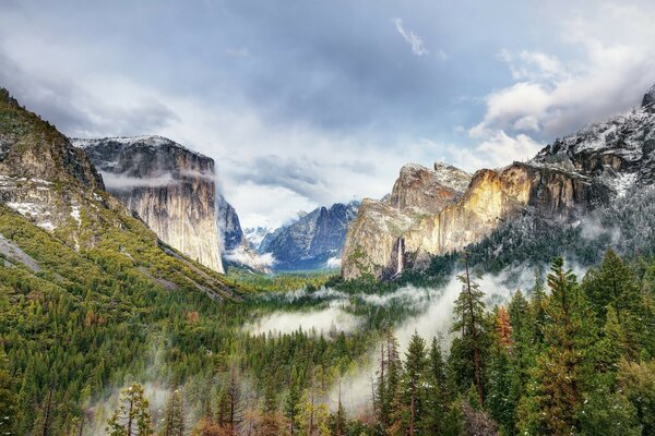 Parque nacional de las cataratas del bosque de Yosemite