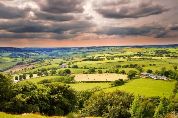 Blick auf die Landwirtschaft und den schönen Himmel