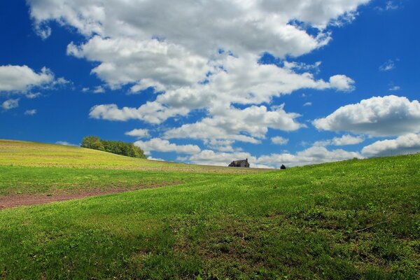 Hermoso horizonte de campo de fondo