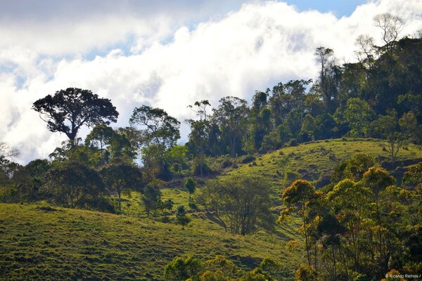 Green hills, trees, clouds