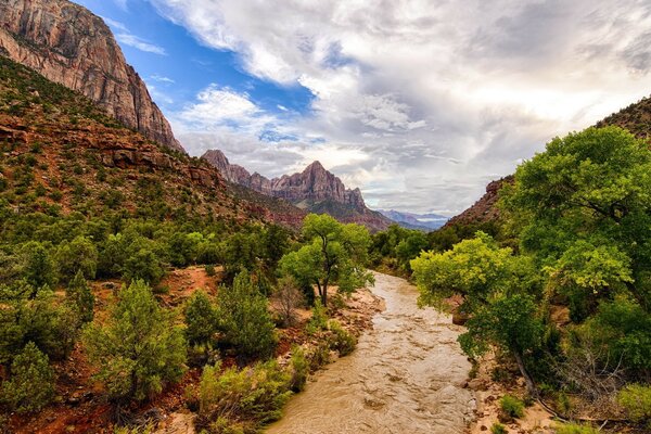 Sommets des montagnes avec des arbres verts