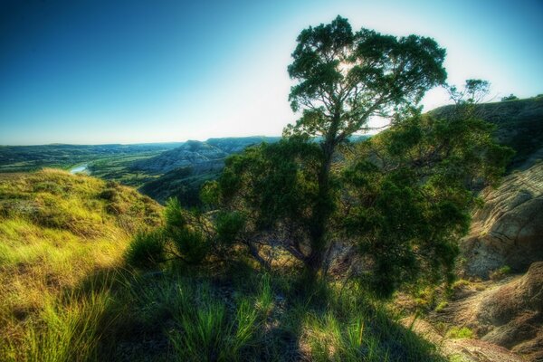 Valle verde desde lo alto de la cima de la montaña