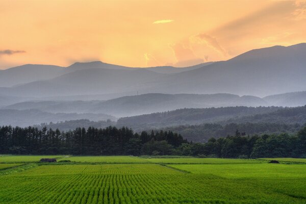 Grey mountains against a background of yellow sky and green grass