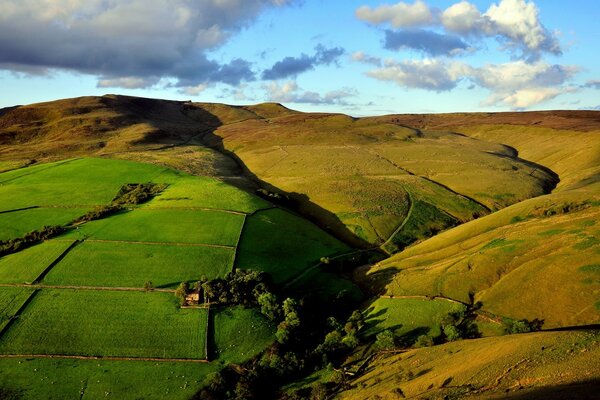 Green-yellow fields from a bird s-eye view