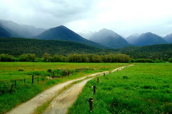 Montagnes, route et nature sans fin