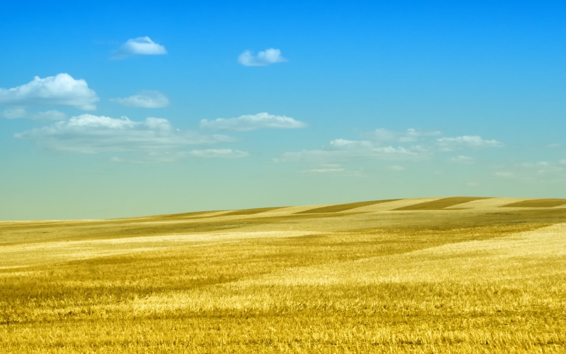 paisagens paisagem campo agricultura natureza rural céu trigo fazenda verão campo ao ar livre colheita solo horizonte bom tempo pasto terra cultivada terras agrícolas país