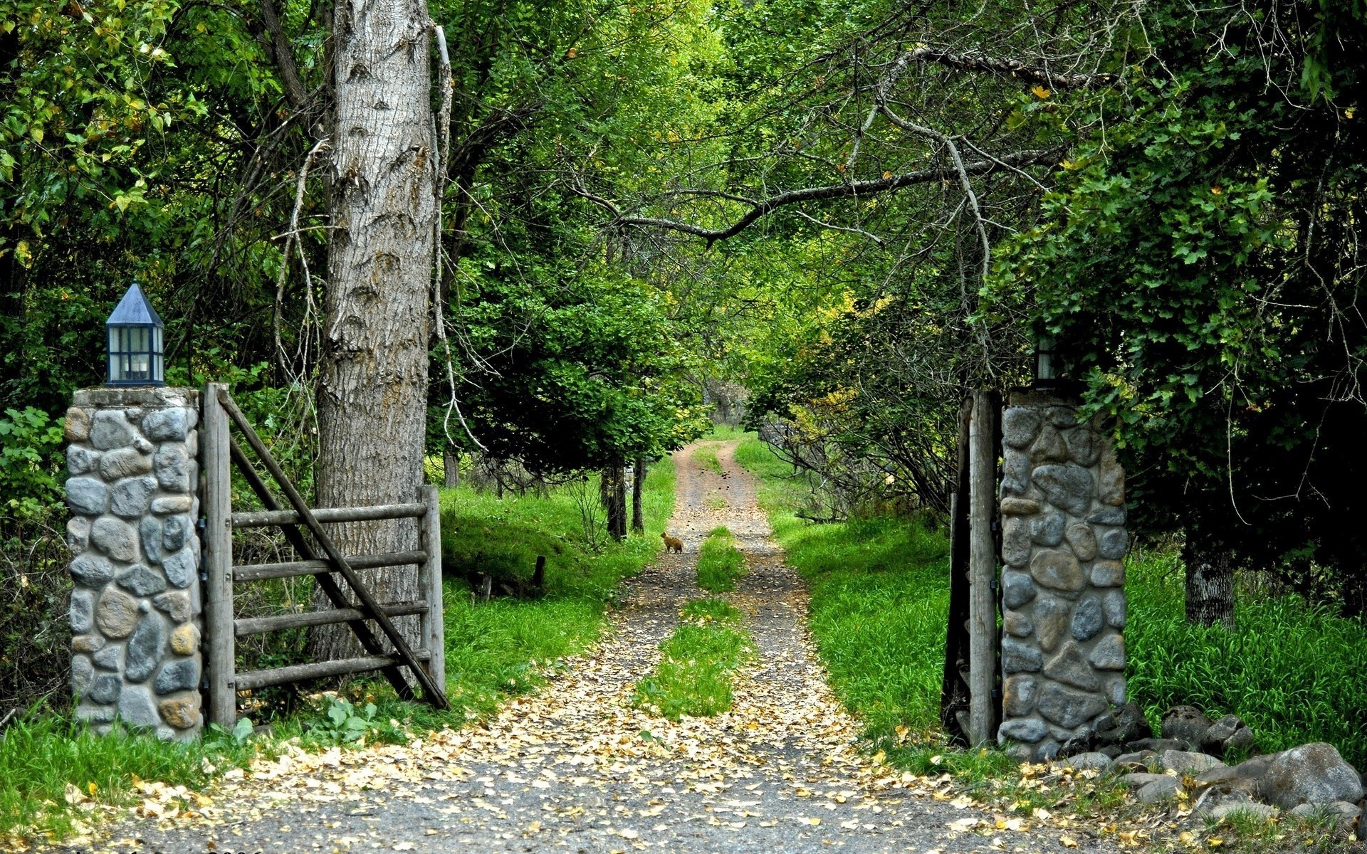 krajobrazy drewno drzewo krajobraz natura liść przewodnik na zewnątrz trawa wiejska flora lato droga ścieżka podróż drewniany park kamień jesień ślad