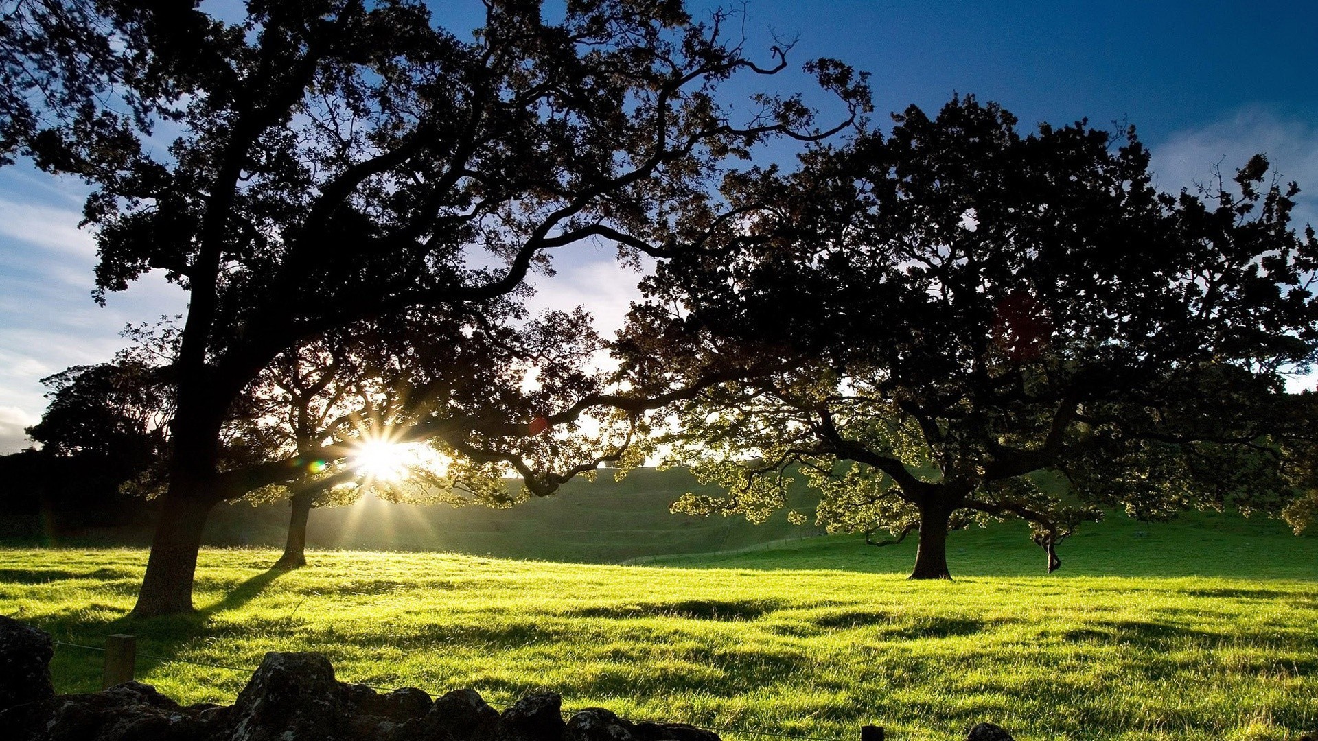 paisaje árbol paisaje hierba naturaleza sol campo buen tiempo al aire libre hoja verano campo rural heno parque brillante amanecer