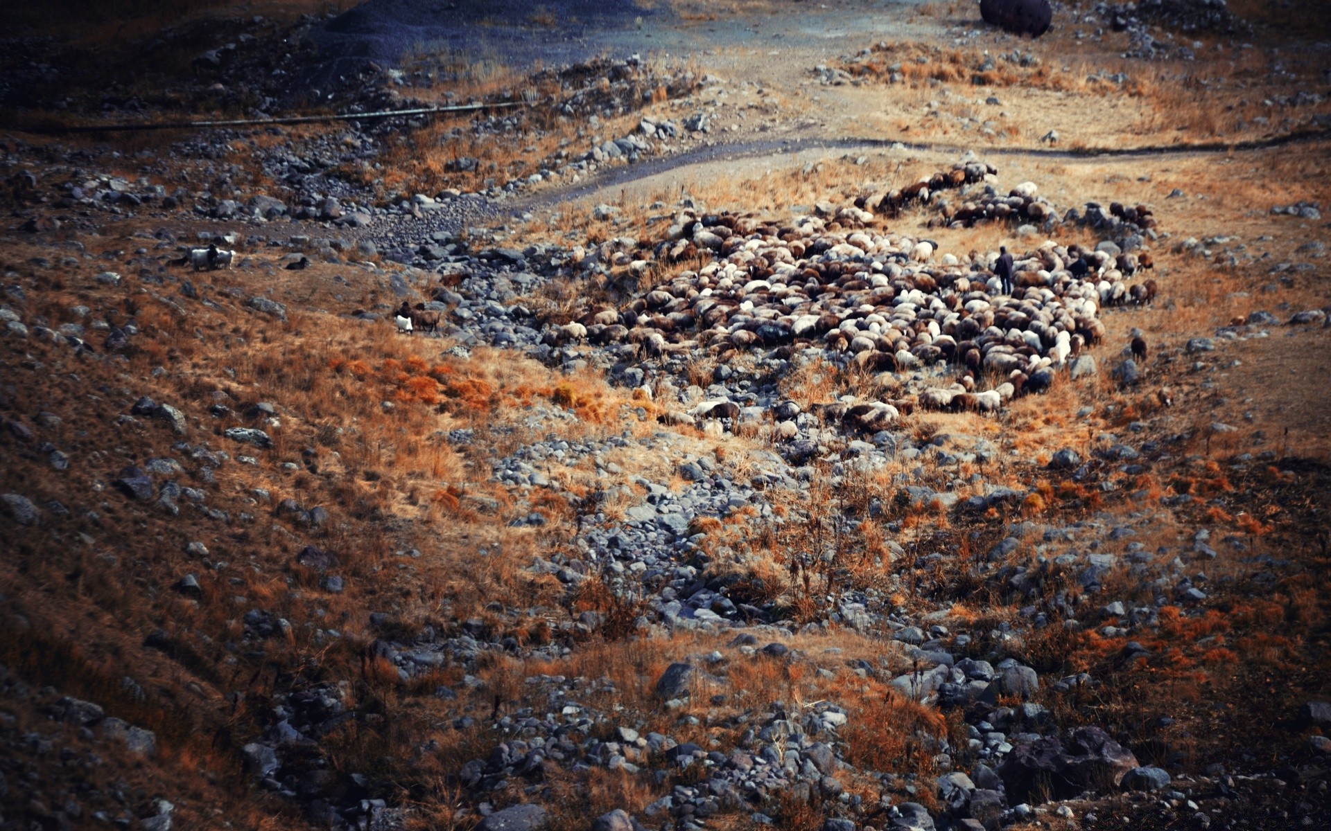 landscapes rock desktop texture geology dirty pattern stone nature volcano abstract