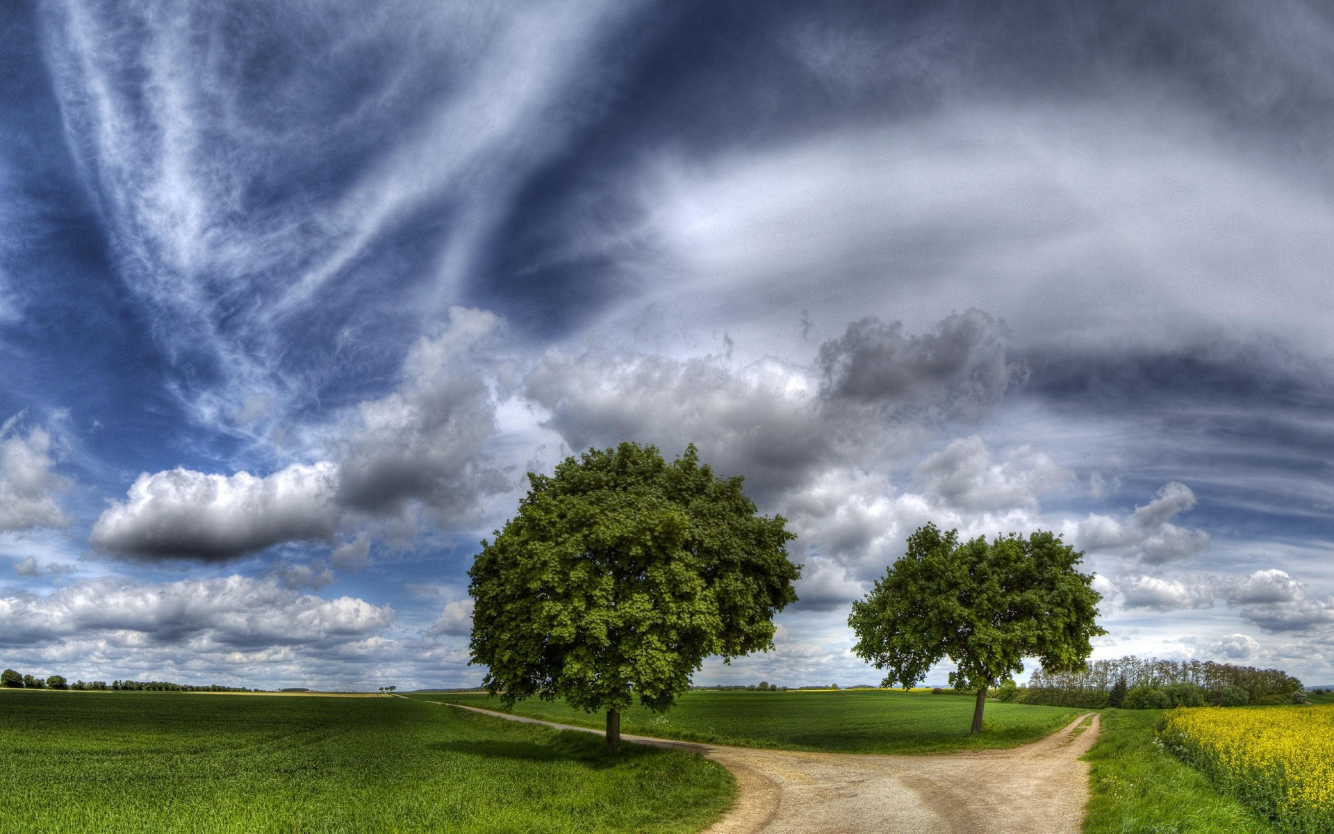 paysage tempête nature ciel paysage herbe à l extérieur pluie rural orage météo campagne dramatique été nuage arbre soleil moody coucher de soleil beau temps