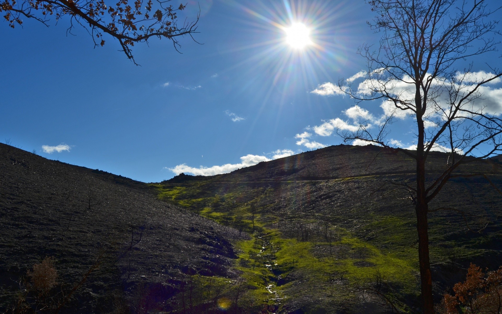 landscapes landscape tree mountain nature sky travel outdoors wood light scenic fair weather snow hill