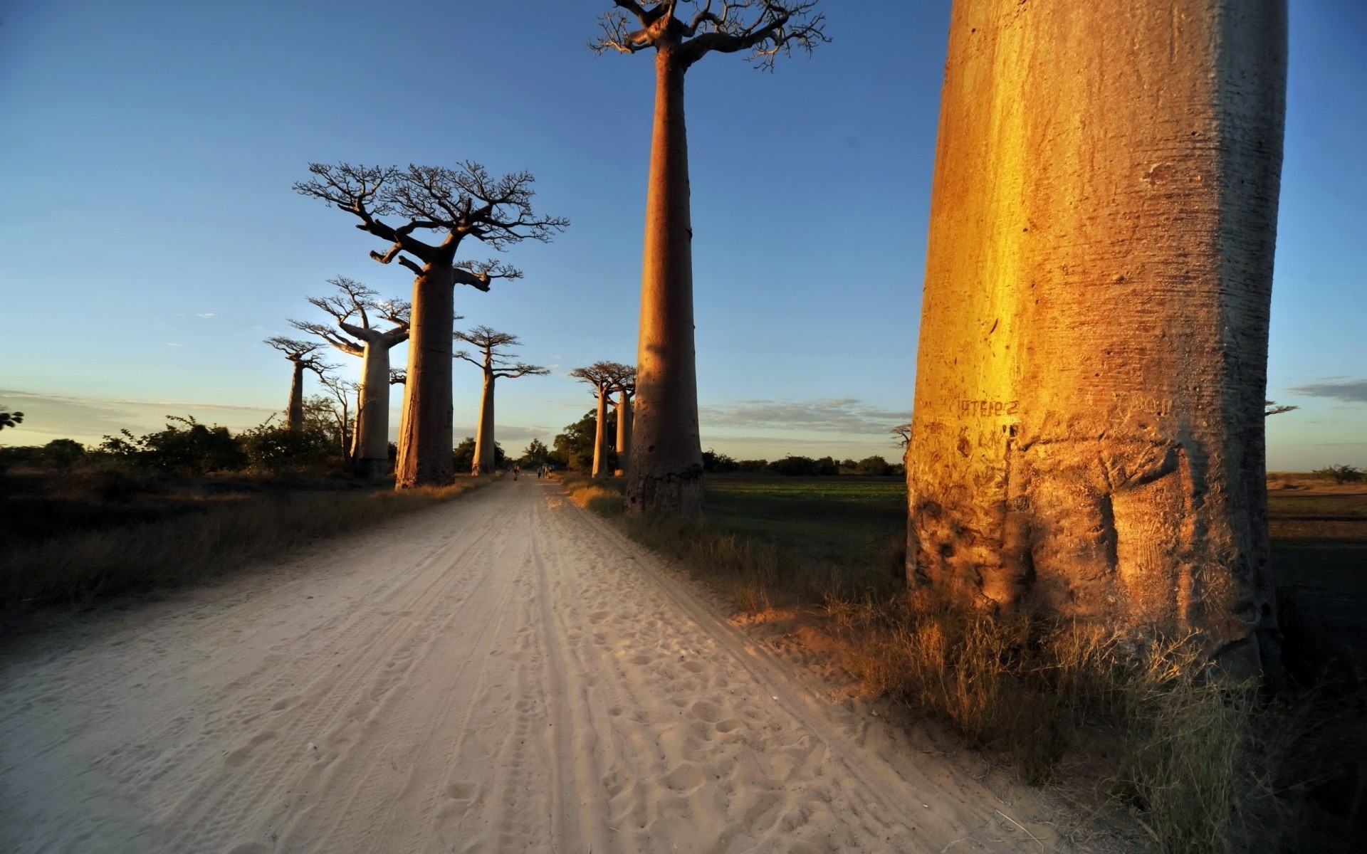 paisagens ao ar livre céu viagens natureza árvore amanhecer pôr do sol paisagem à noite