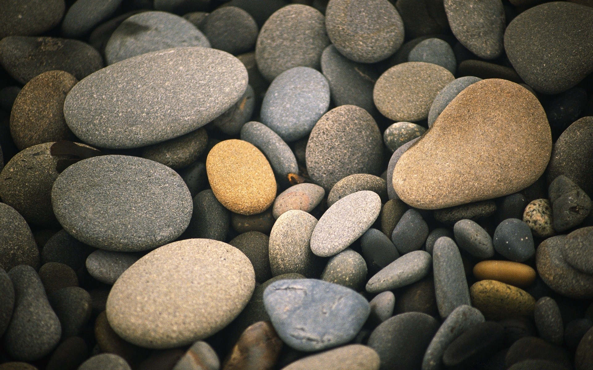 paysage zen pavé rock pierre lisse harmonie équilibre gravier boulder la stabilité la méditation la nature texture bureau forme partie simplicité résumé rond