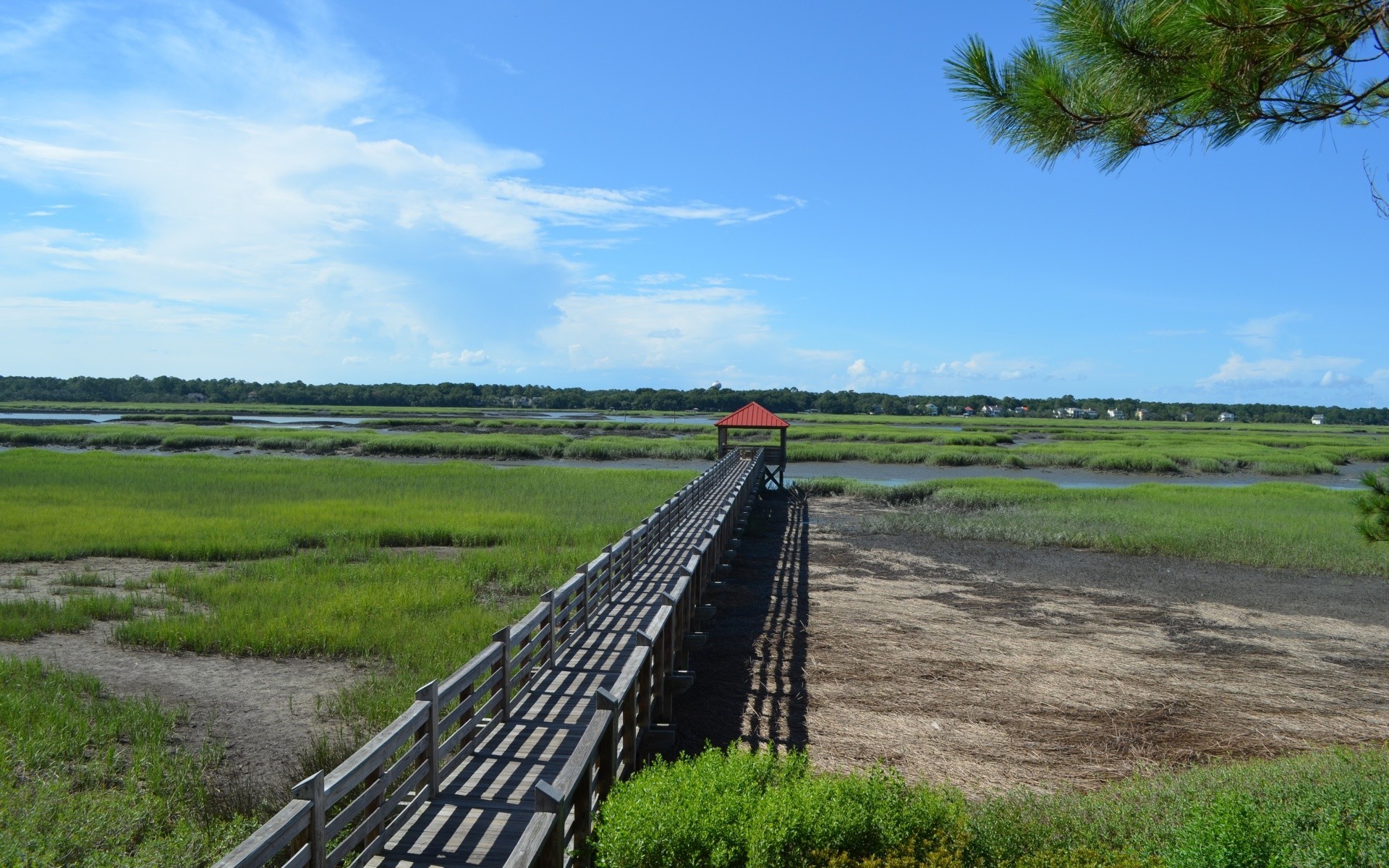 landscapes landscape tree outdoors agriculture sky grass nature road travel daylight farm summer field rural scenic cropland guidance country