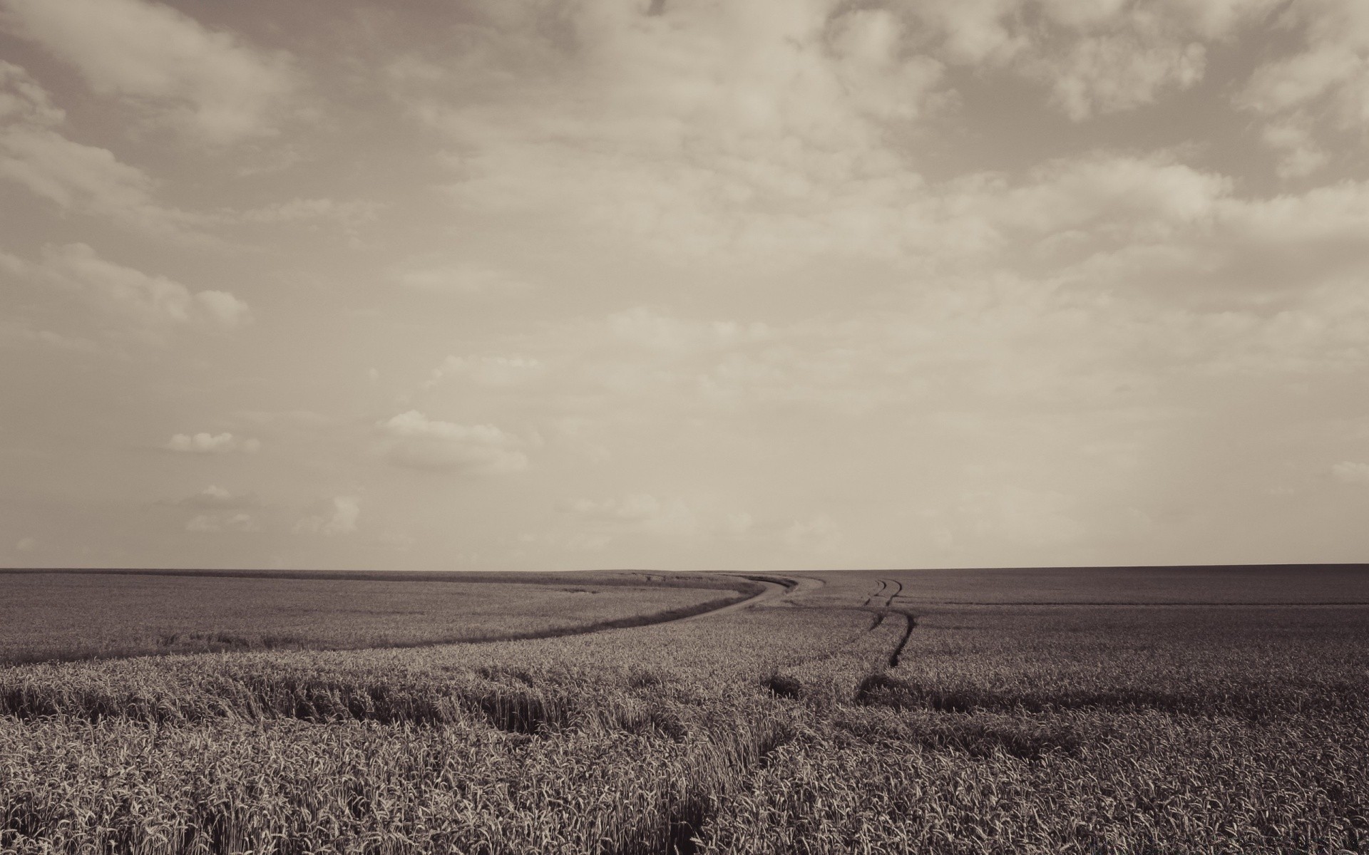 landscapes landscape cropland farm agriculture field sky nature crop monochrome weather storm prairie outdoors