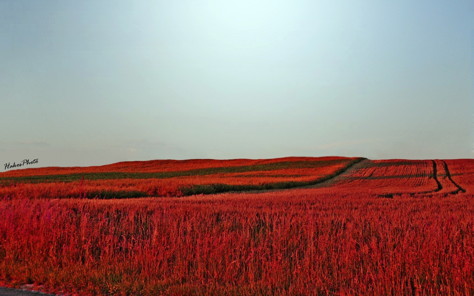 paisagens ao ar livre terras cultivadas agricultura paisagem natureza céu amanhecer