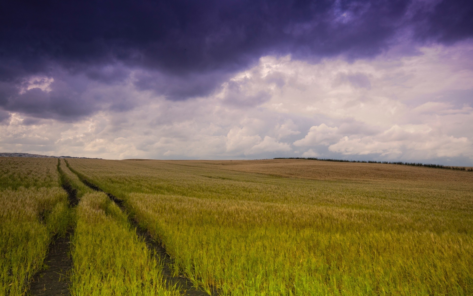 landschaft landschaft landwirtschaft bebautes land himmel feld bauernhof im freien landschaft weizen natur ernte des ländlichen weide tageslicht gras flocken land weiden