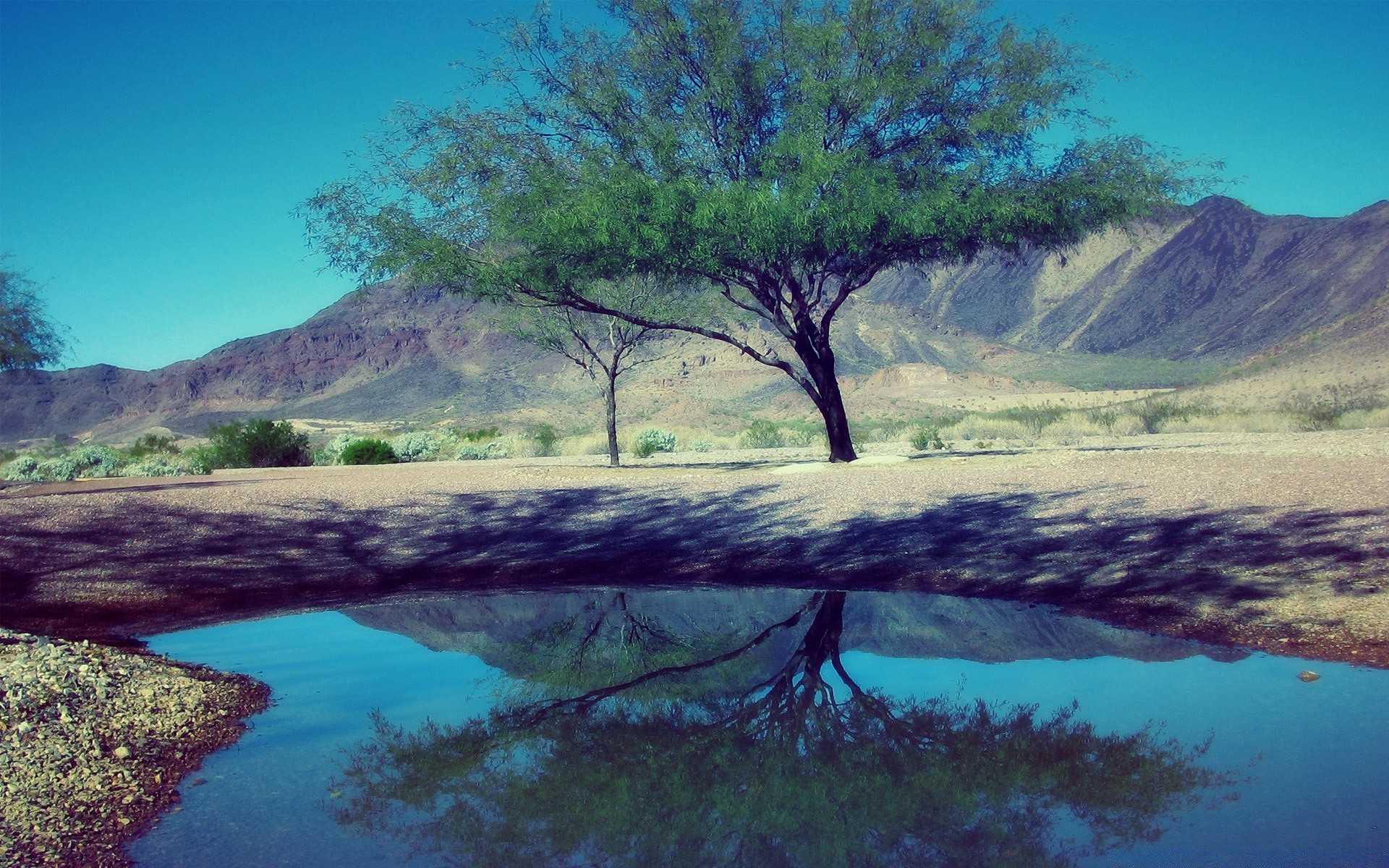 landscapes water landscape tree travel nature scenic lake sky seashore island river sea mountain outdoors ocean tourism reflection rock daylight