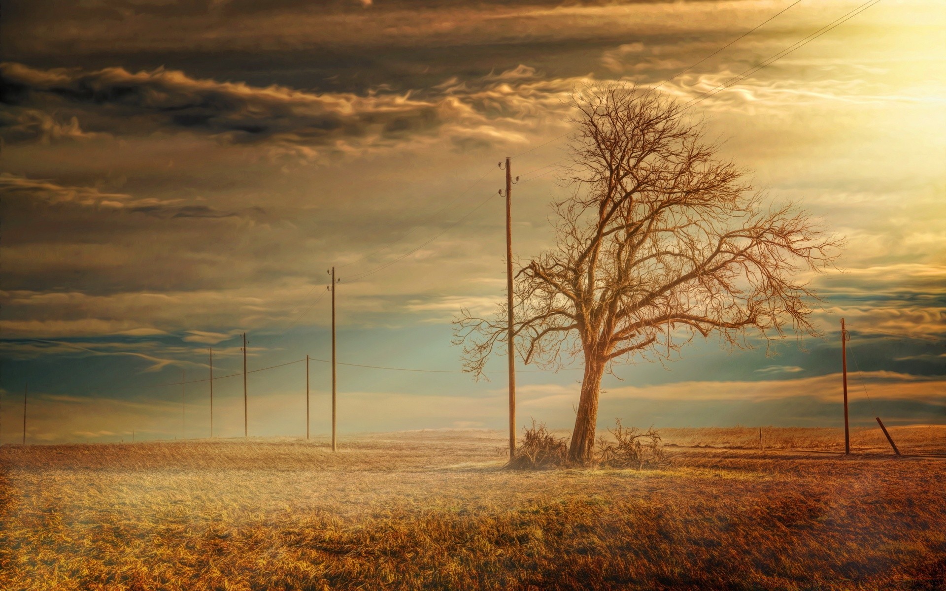 landschaft sonnenuntergang dämmerung landschaft himmel natur sonne abend baum dämmerung silhouette licht im freien