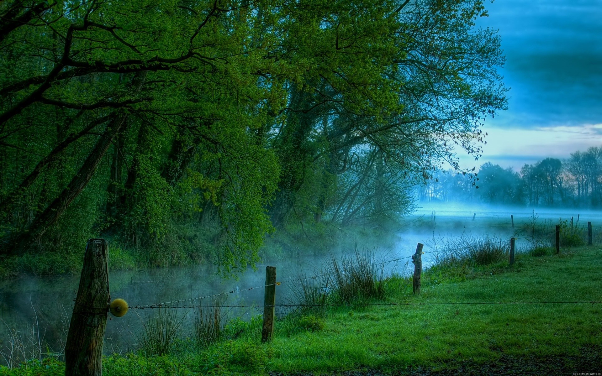 paesaggio alba paesaggio albero legno natura sole all aperto nebbia luce nebbia bel tempo autunno lago parco scenico tramonto luce del giorno acqua erba