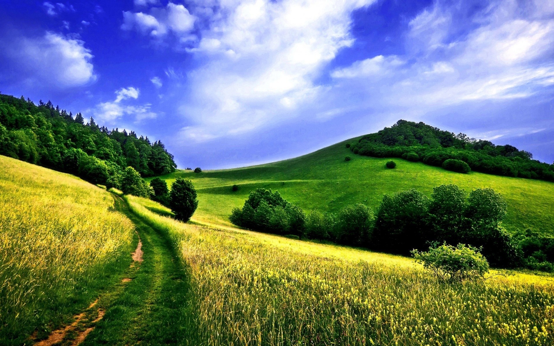 paisaje paisaje heno rural naturaleza campo cielo hierba campo colina verano escénico agricultura nube árbol al aire libre espectáculo país pasto horizonte