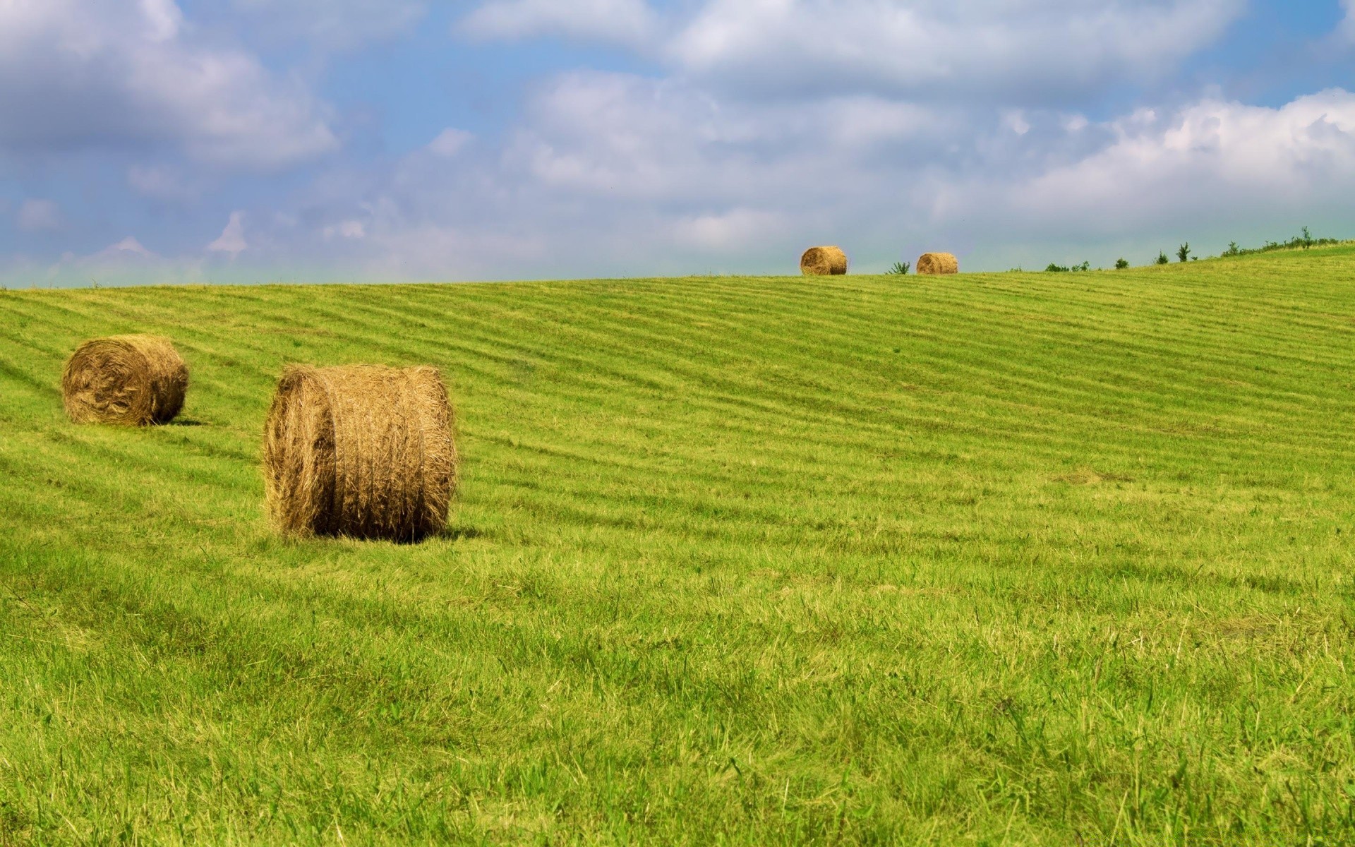 paesaggio pascolo rurale fieno agricoltura campagna fattoria paesaggio paglia campo erba grano bale terreno agricolo fieno cielo natura estate paese fiocchi