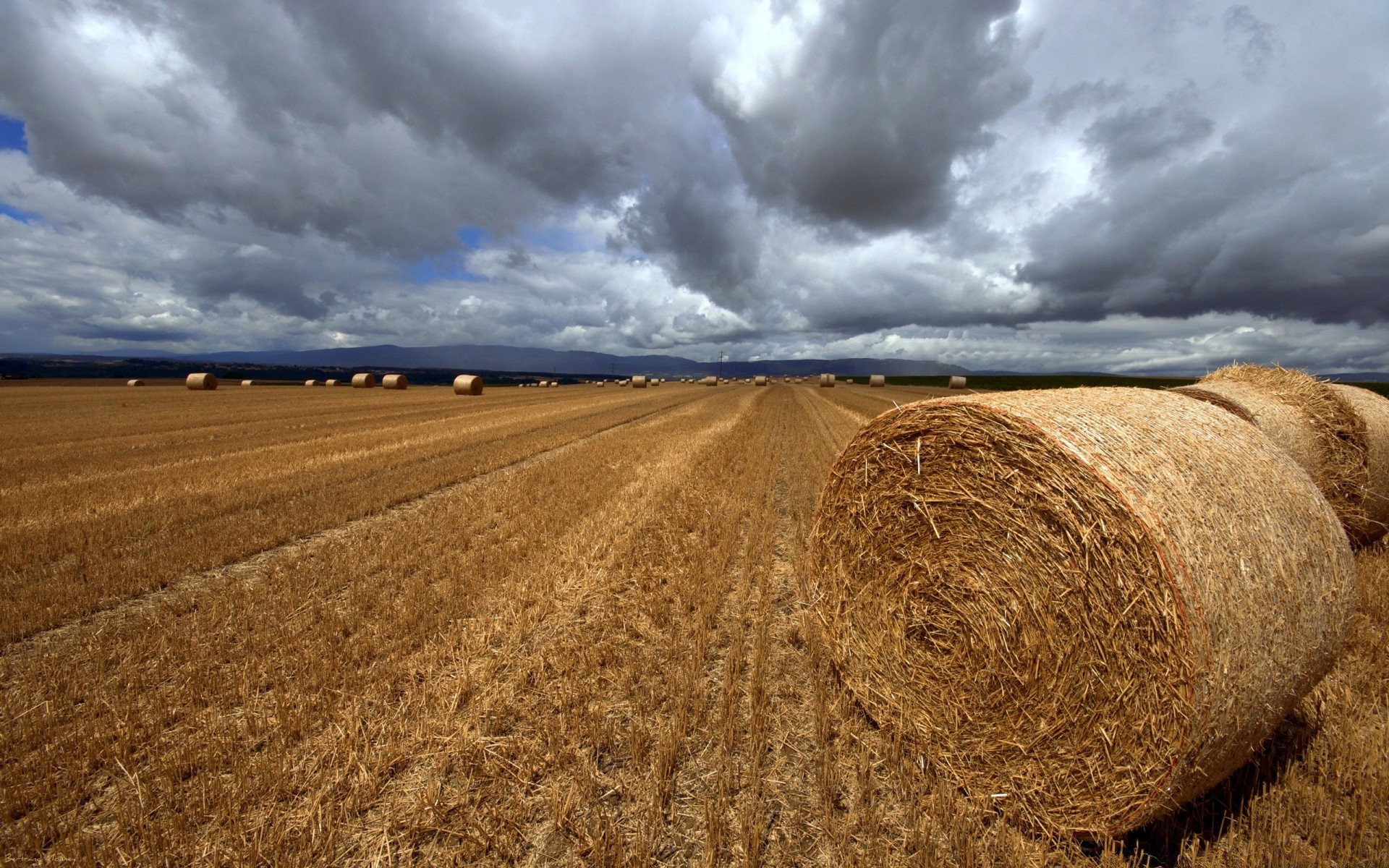 landschaft weizen landwirtschaft flocken stroh weide landschaft himmel des ländlichen heu roggen ernte mais natur bauernhof landschaft im freien wolke feld boden