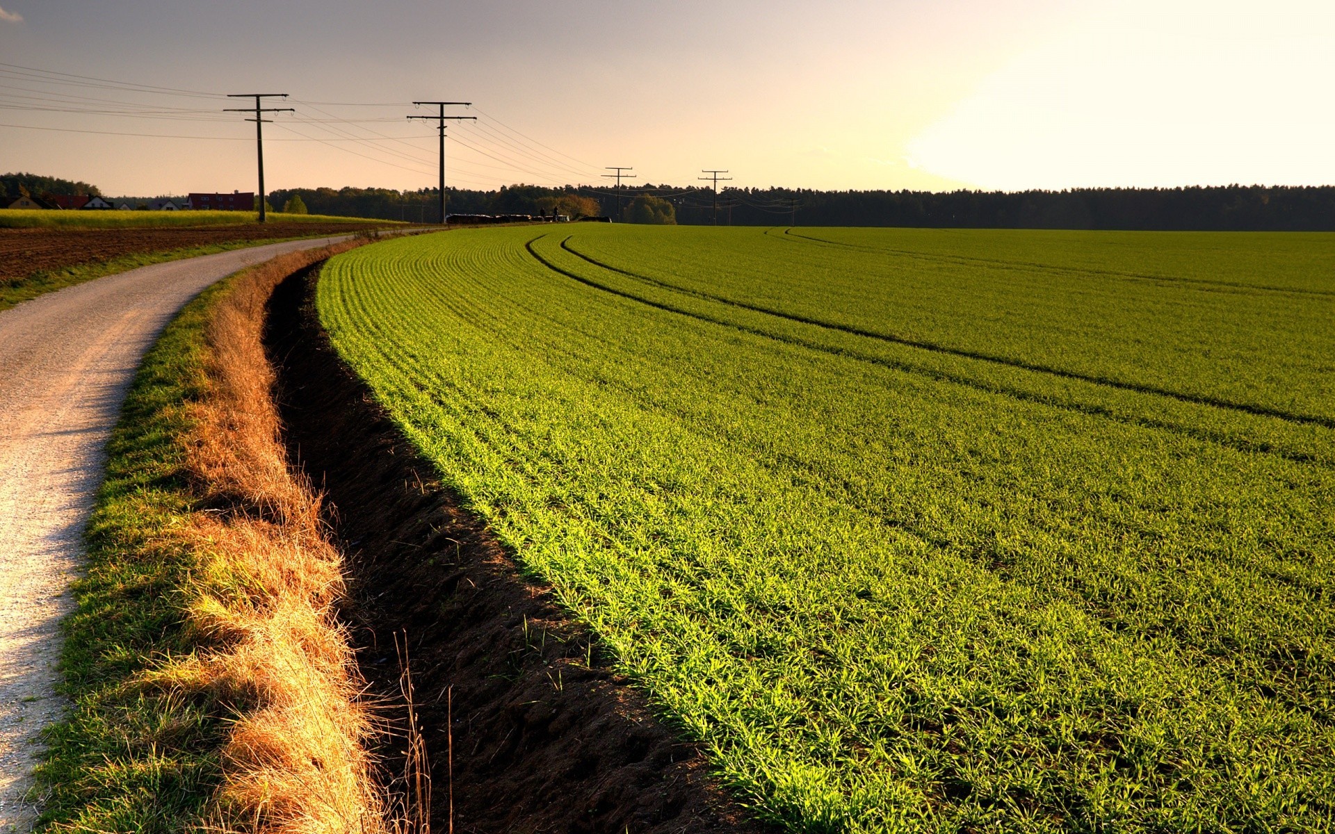 landschaft landwirtschaft feld bauernhof landschaft des ländlichen bebautes land land landschaft boden heuernte ernte natur weide im freien wachstum gras ackerland sommer himmel