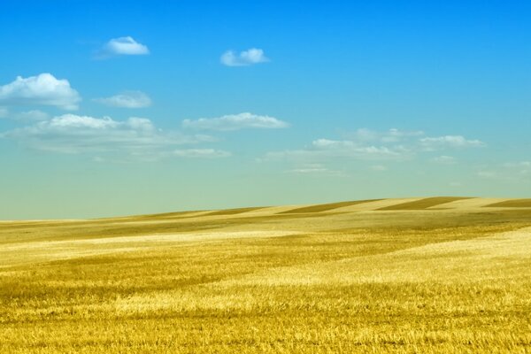 Gelber Gelassenheit Landschaftshintergrund