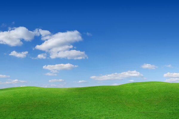 Cielo azul con nubes blancas sobre hierba verde brillante