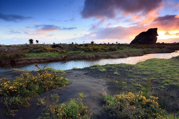 Cielo, fiume ed erba verde