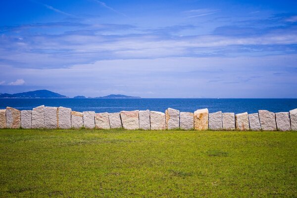 Erba verde e cielo blu