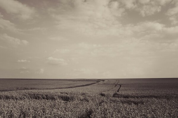 Schwarz-Weiß-Foto von kultivierten Bauernhof Landschaft